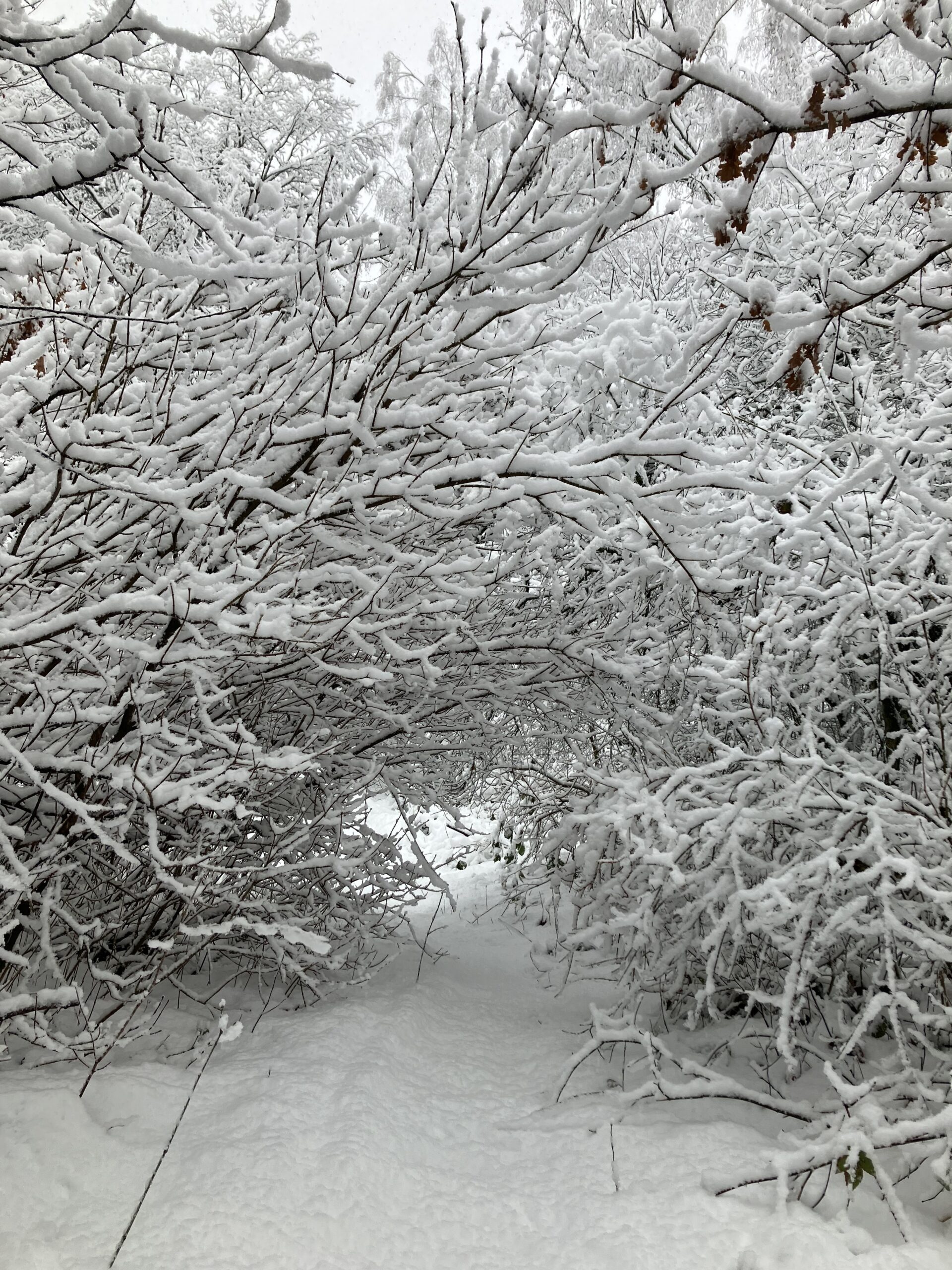 Veel sneeuw op Kleyn Barlo